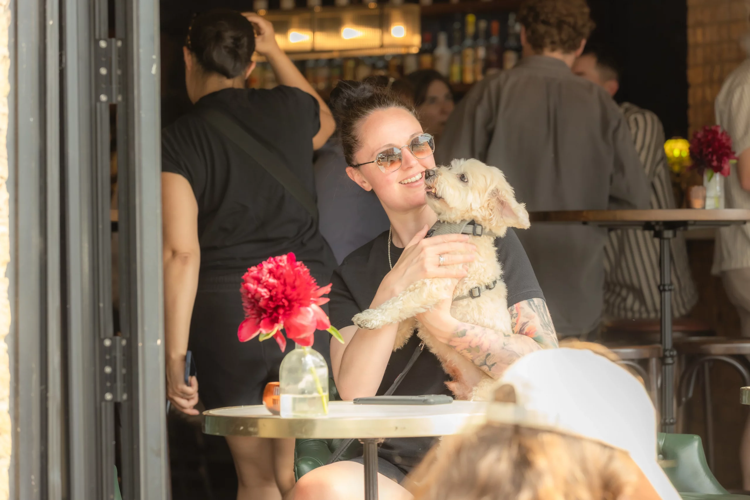 lady sitting in the sun with her dog